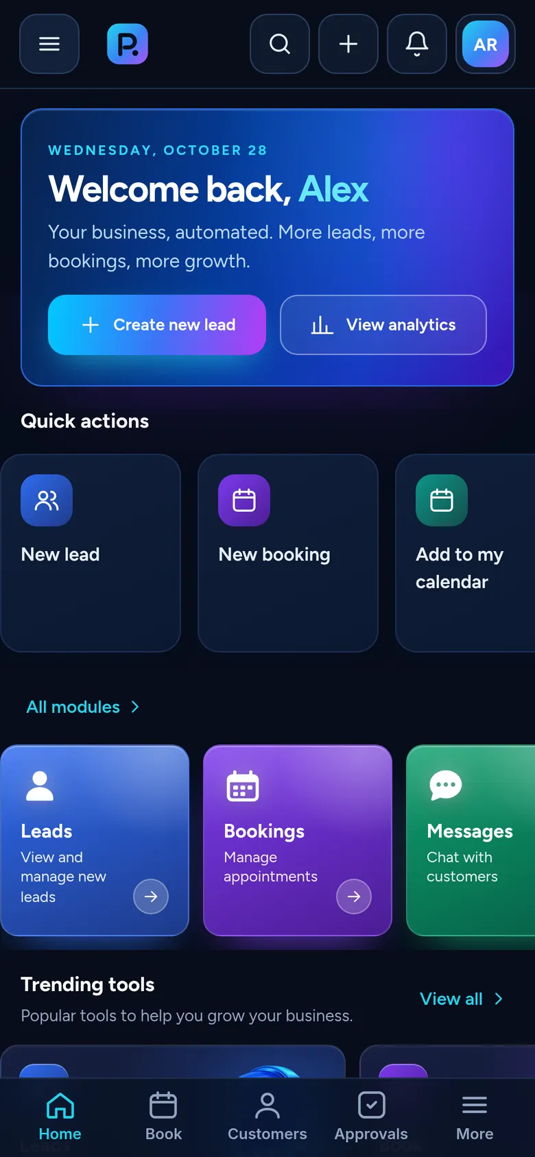 pTinksOS owner Home screen with demo data